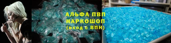 эйфоретик Алзамай