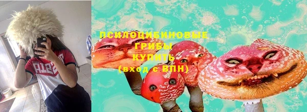 дурь Алексеевка