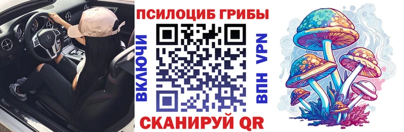 Псилоцибиновые грибы мицелий  Юрьев-Польский 